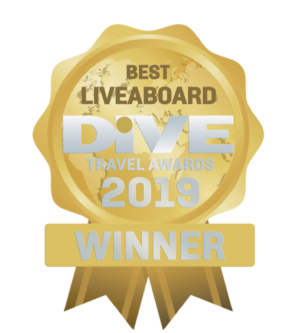 a bagde that shows Coralia won the dive travel award for best Liveaboard in 2019