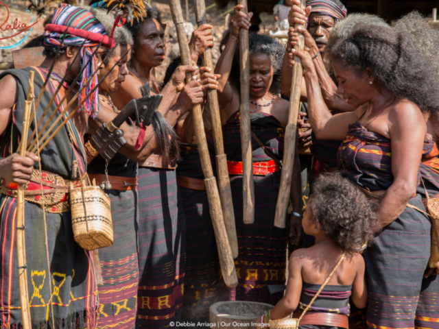 Abui tribe pounding the rice with wooden sticks in Alor