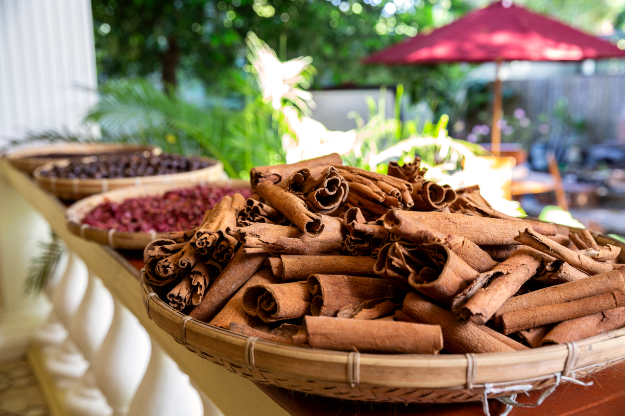Fresh Cinnamon on the Banda Islands with Coralia Liveaboard in Indonesia