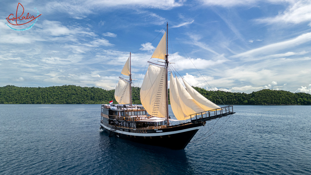 Coralia Liveaboard sailing in Raja Ampat