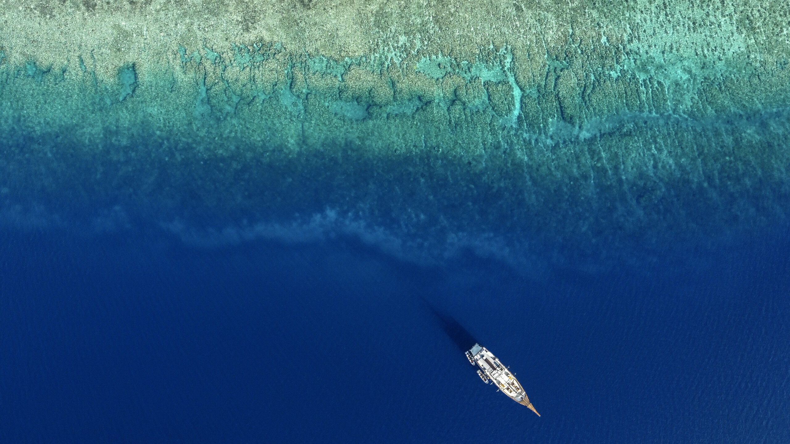 Coralia Liveaboards in Damar, Indonesia.