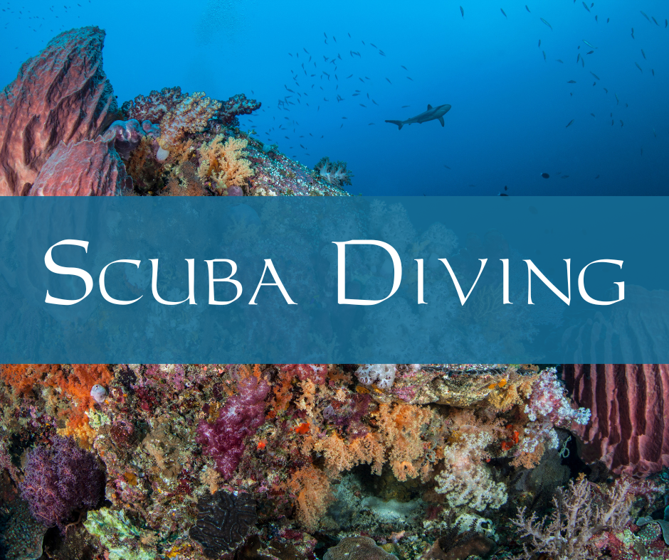 Colorful coral reef with a reef shark in the background during a Coralia scuba diving trip in Indonesia.