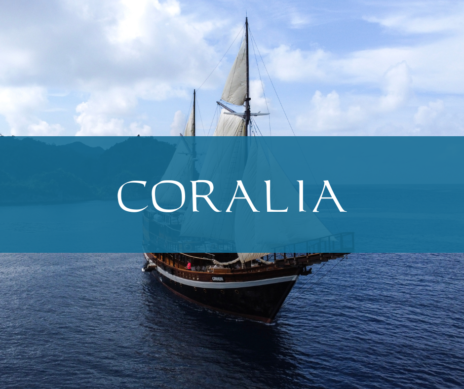 Coralia liveaboard sailing in Indonesian waters with full sails.