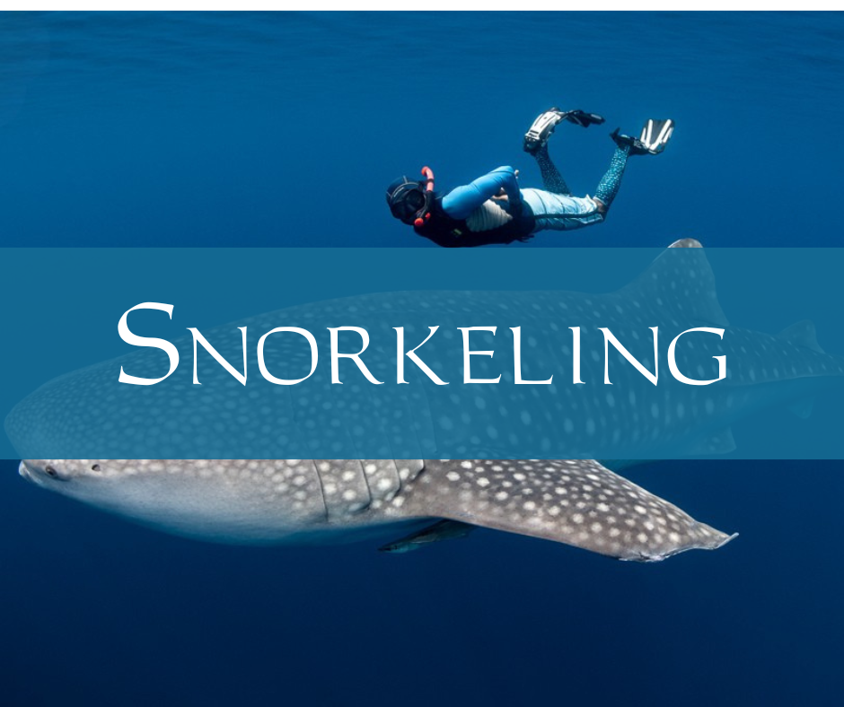 Coralia crew members in firefighting gear during onboard safety training.