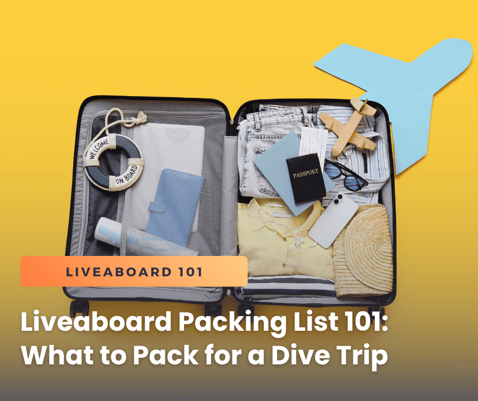 What to pack for an Indonesia liveaboard trip