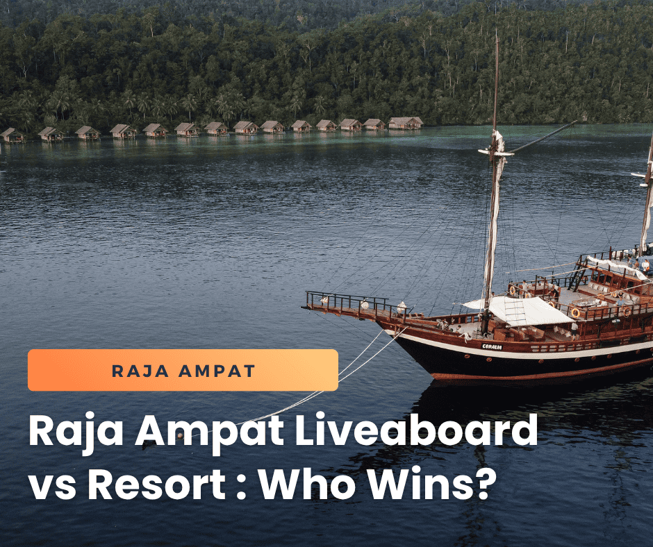 Coralia Liveaboard in front of Papua Explorers Eco Resort in Raja Ampat.