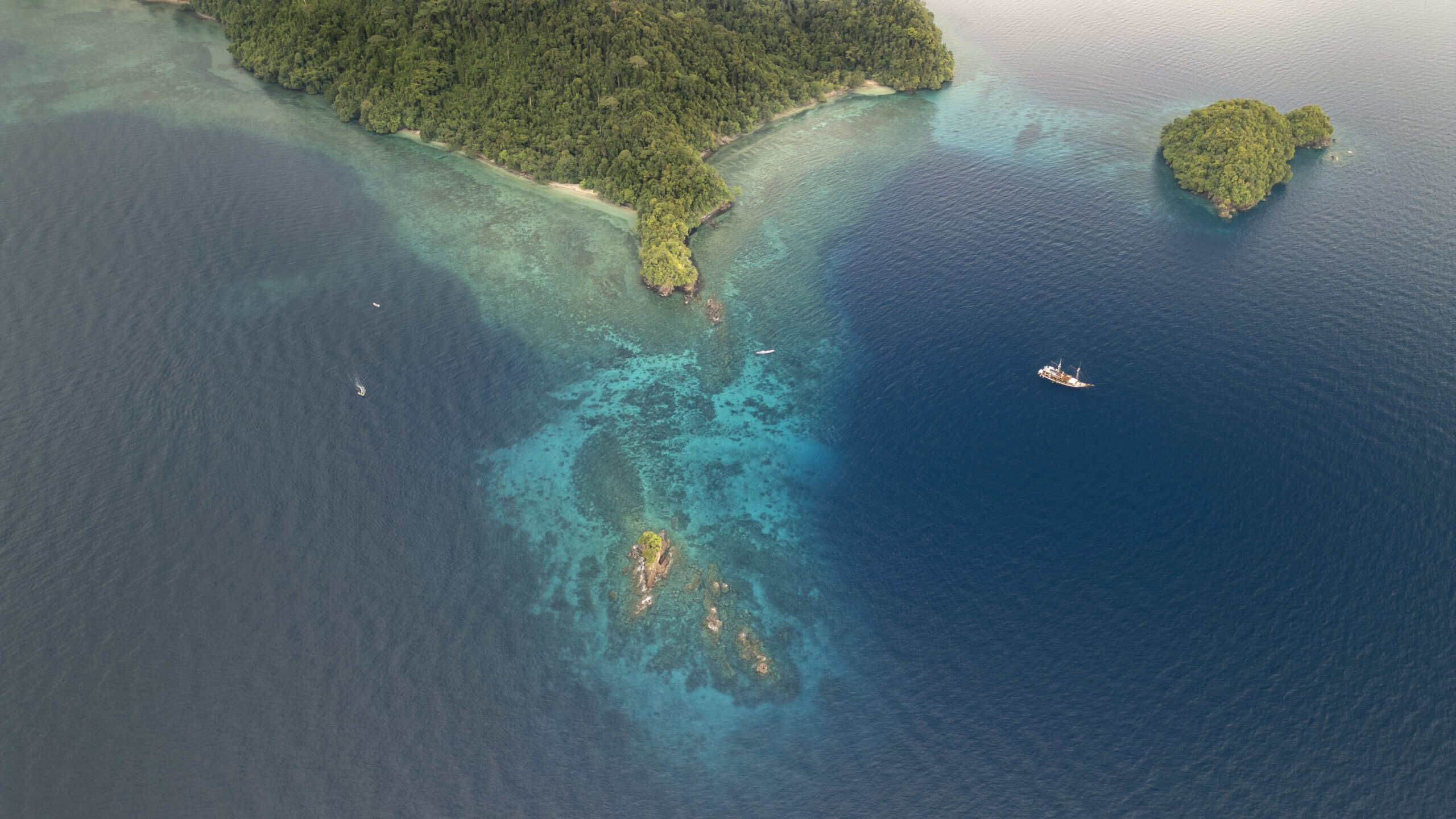 Coralia Raja Ampat Liveaboard